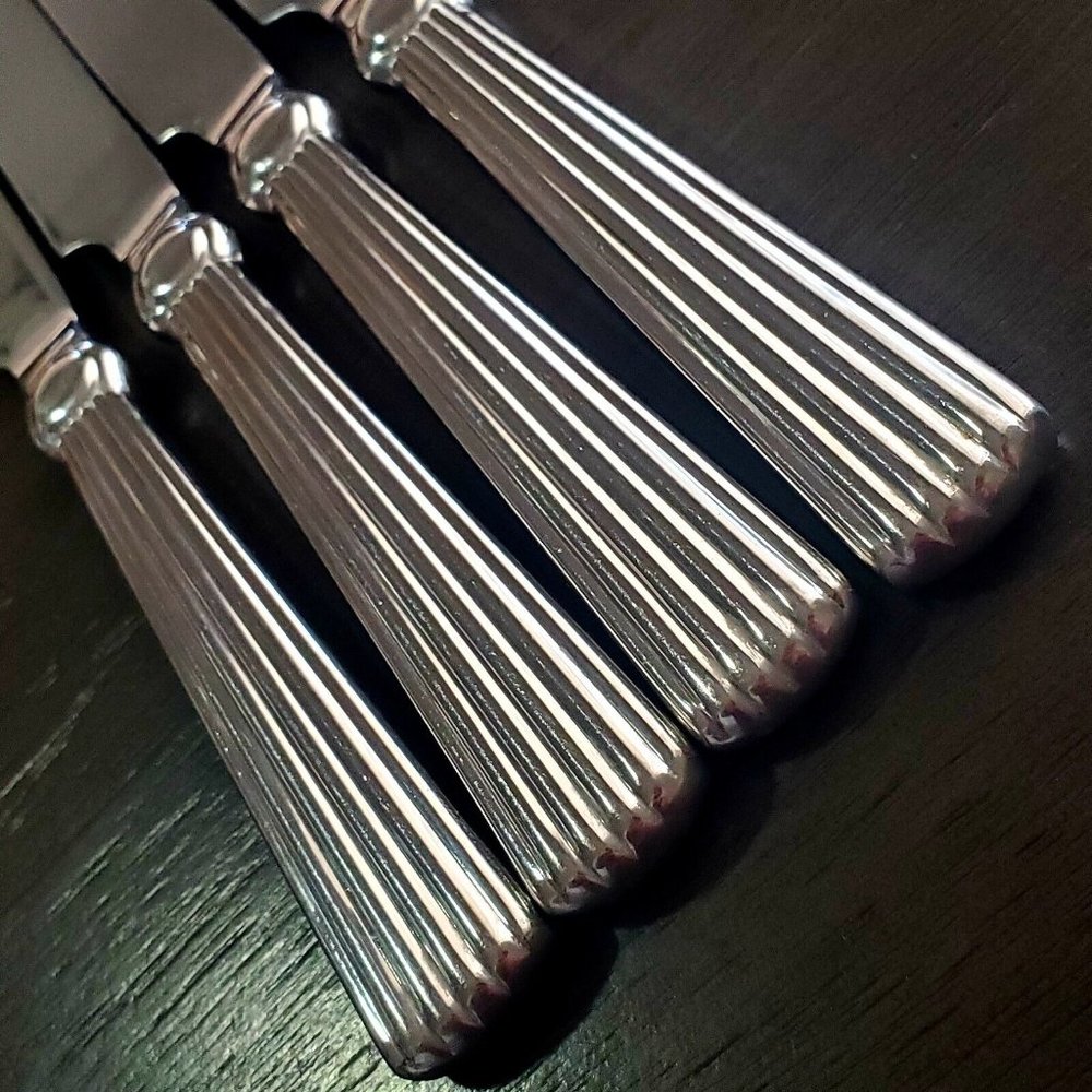 Set of 4  Waterford Carleton 18/10 Stainless Dinner Knives 9.5”